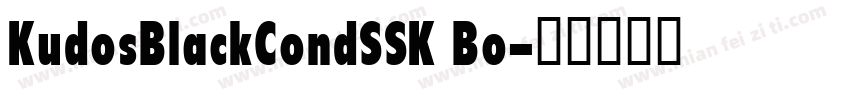KudosBlackCondSSK Bo字体转换